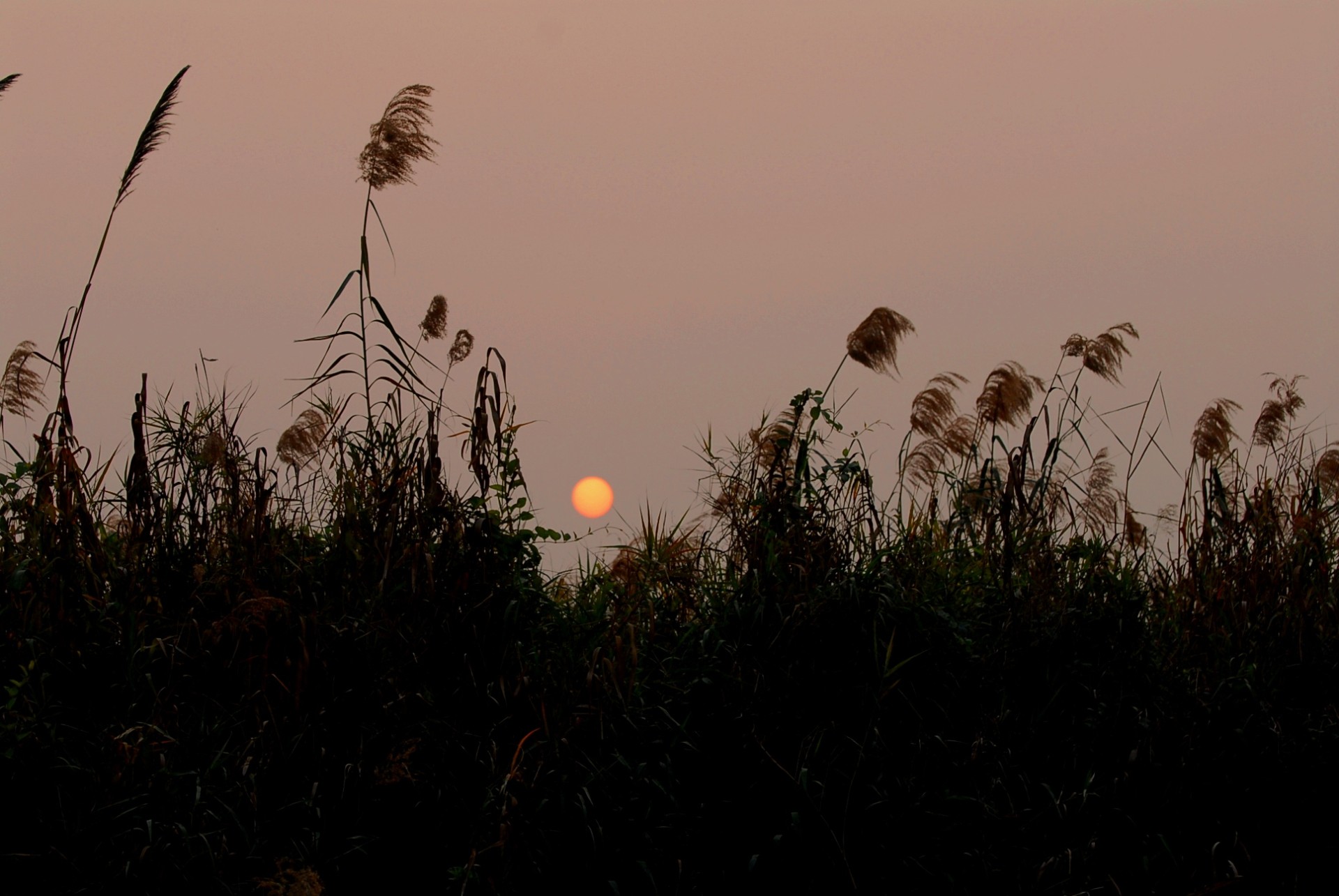 Sunset - Vietnam 2025